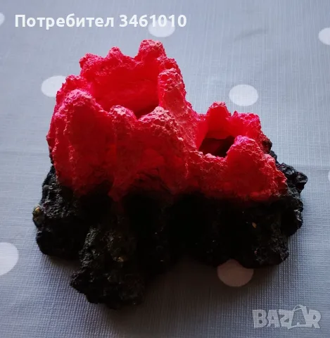 Аквариумно оборудване и рибки подарък, снимка 3 - Аквариуми - 55449226