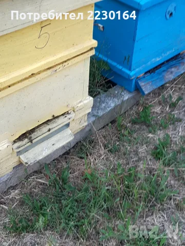 Продавам пчелни семейства 