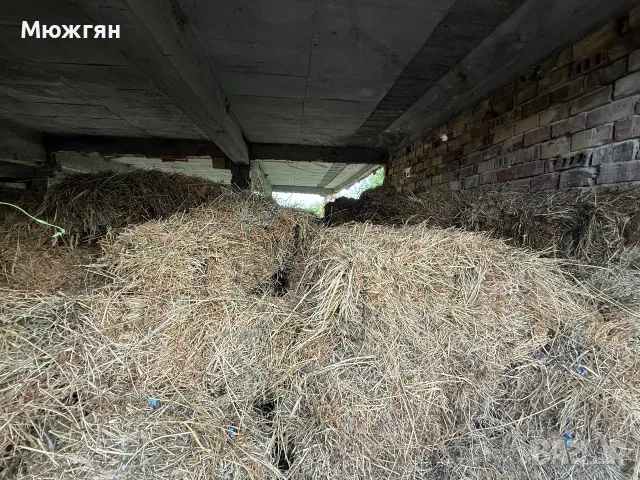 Бали люцерна реколта 2026 2 ри откос , снимка 3 - За селскостопански - 55316495
