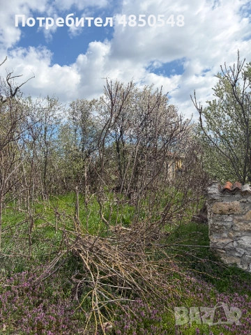имот в село Ивановци, Видинско