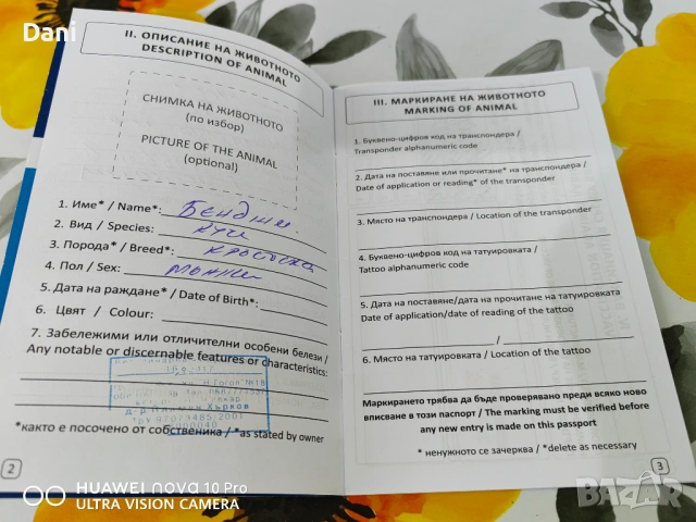 Куче, снимка 5 - Други - 54863081