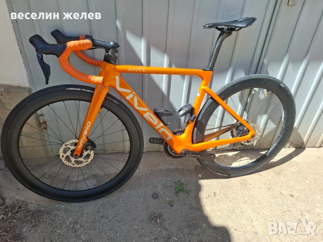 Vivelo Ante