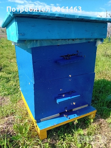 пчелни кошери.