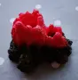 Аквариумно оборудване и рибки подарък, снимка 3