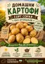 Продавам картофи сорт Сорая , снимка 1