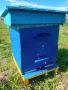 пчелни кошери., снимка 1