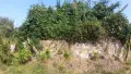 Парцел с основи на къща до асфалтов път в с. Новосел, снимка 7