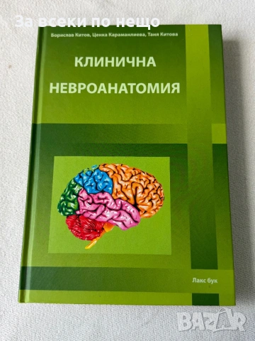 Клинична невроанатомия