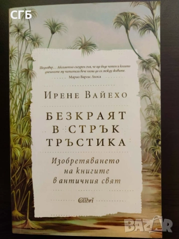 Безкраят в стрък тръстика (Ирене Вайехо)