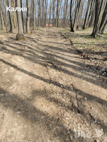 Вилно място с две сгради, снимка 10 - Вили - 54130178