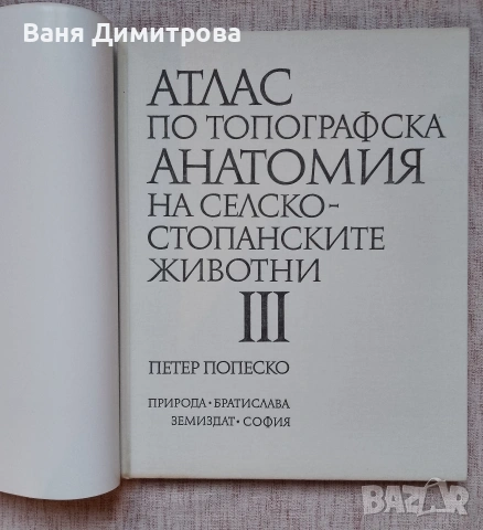 Атлас по топографска анатомия на селскостопанските животни. Том 1-3, снимка 4 - Специализирана литература - 54662765