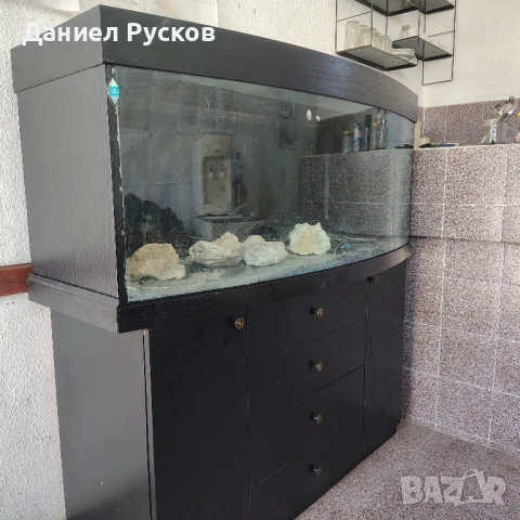 Аквариум със заоблено стъкло