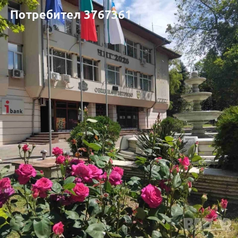 Парцел-дворно място във Ветрино, снимка 6 - Парцели - 43718100