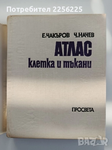 Атлас - Клетка и тъкани, снимка 4 - Специализирана литература - 55178845