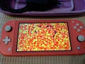 Nintendo Switch Lite - розова, снимка 14