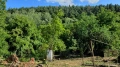 Продавам къща в село Бериево община Севлиево цената е в евро , снимка 6