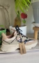 Нови маратонки на Steve Madden , снимка 1