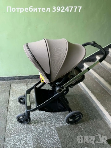 Chipolino Elit 