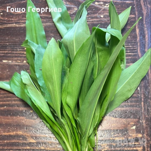 Приемаме заявки за див чесън