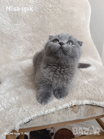 момченце той е уникален в Хасково свикнало с малко детенце