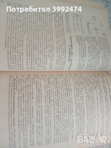 Зайцевъдство, 1982г, Земиздат, снимка 4 - Специализирана литература - 55408406