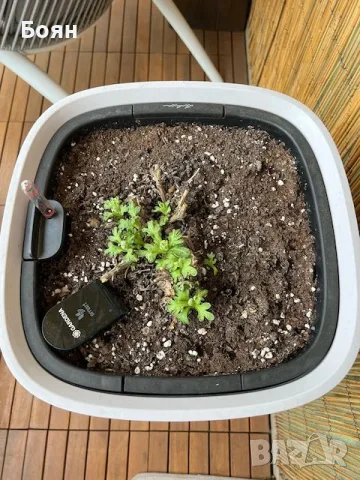 GARDENA SMART сензори за влажност/температура за градина/саксии с WiFi управление, снимка 4 - Други - 55680969