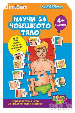 Образователна игра Thinkle Stars - Научи за човешкото тяло/ Домино за цветове и форми