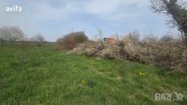 Имот за вилно застрояване в близост до язовир Огняново, снимка 6 - Парцели - 54207045