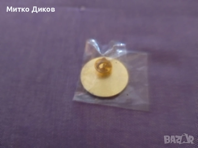 Камен Дел значка с винт, снимка 3 - Колекции - 54885096