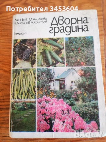 Дворна градина,Голямата радост от малката градина