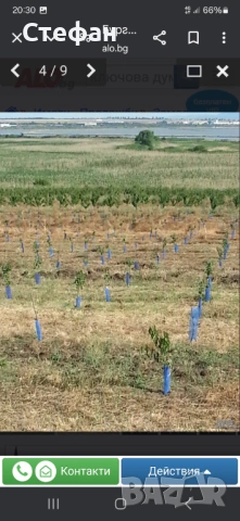 Земеделска земя Бургас Рудник, снимка 10 - Земеделска земя - 54270604