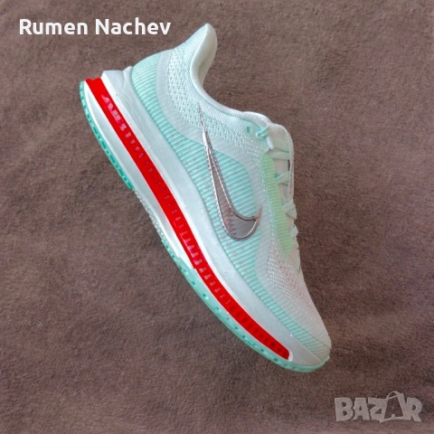 Nike Pegasus Premium (42)