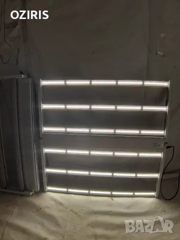 PLATINUM HORTICULTURE 680W Dutch Master led grow light