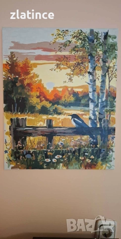 Ръчно рисувани картини по номера 40×50 см