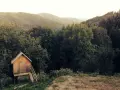 Гребло за листа многофункционално с дълга дръжка 2W4M, снимка 5