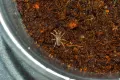 Бразилска розовокрака тарантула джудже (Dwarf Pink Leg; Kochiana brunnipes), снимка 2