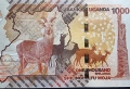 Уганда. 20 евро за трите. 1000 ,2000 и 5000 шилинга. 2021 година .UNC., снимка 4