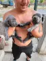 Продавам кучета Кане корсо, снимка 2