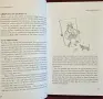 Culture Shock! Germany, снимка 3