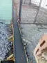 ремонт покриви и други, снимка 3