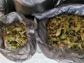 изсушен липов цвят , снимка 2