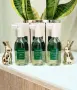 ЛОТ 3 спрея за косопад без отмиване на Aromatica Rosemary Root Enhancer ЛОТ Cocosolis Choco + GLOW , снимка 1