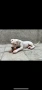Кученце Дого Аржентино/Dogo Argentino . Женски пол / Female, снимка 4