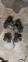 спирачни апарати бмв е46 330д bmw e46 330d, снимка 1