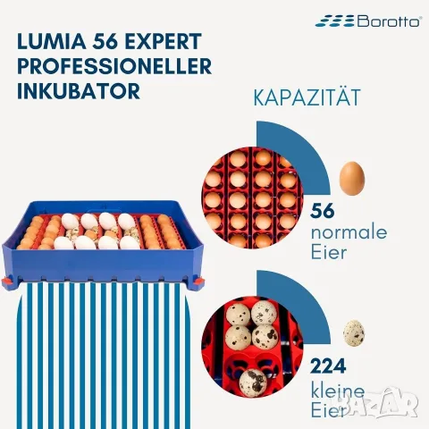 Borotto LUMIA 56 Expert-напълно автоматичен инкубатор, снимка 4 - За птици - 55603647