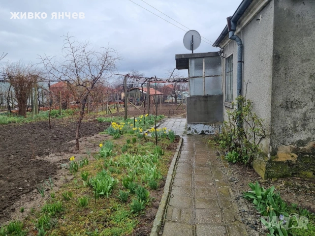 Продавам едноетажна къща в с. Карагеоргиево, снимка 10 - Къщи - 53992289