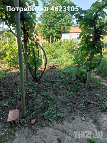 Къща с дворно място и лозе, снимка 5 - Къщи - 54962625
