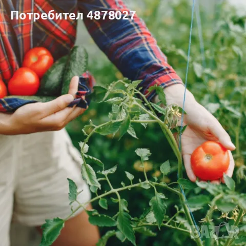 Армирано фолио за оранжерия - висока издръжливост с UV4 филтър, снимка 6 - Оранжерии - 55321500