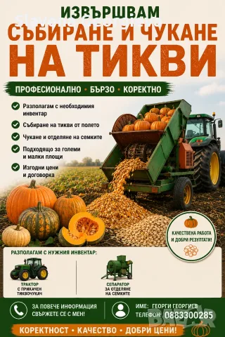 Услуги с тикварка 
