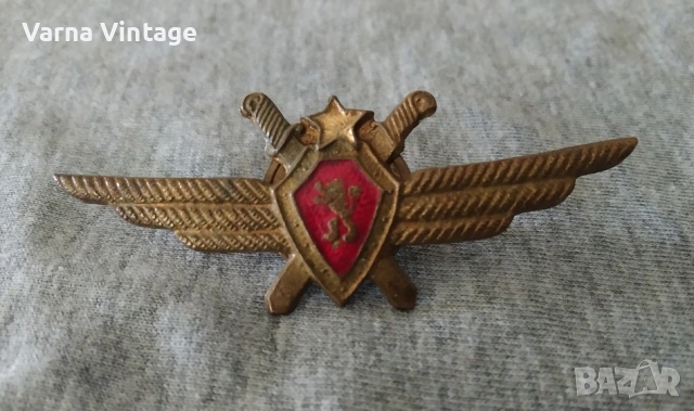 Знак на пилота на ВВС на БНА. бронз. емайл.